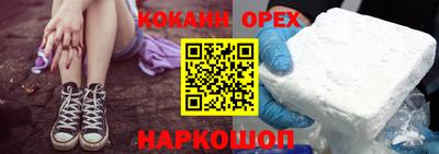 шишки Заволжье