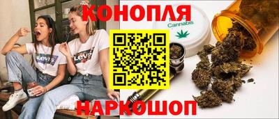 шишки Заволжье