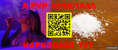 шишки Заволжье