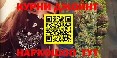 шишки Заволжье