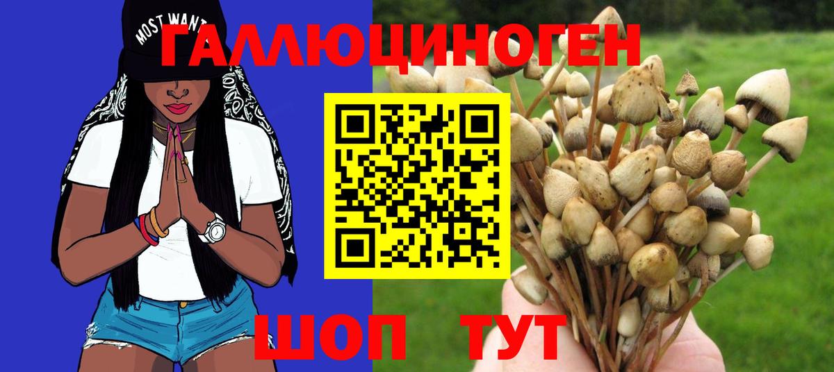 Псилоцибиновые грибы MAGIC MUSHROOMS  Вход с VPN  Людиново 